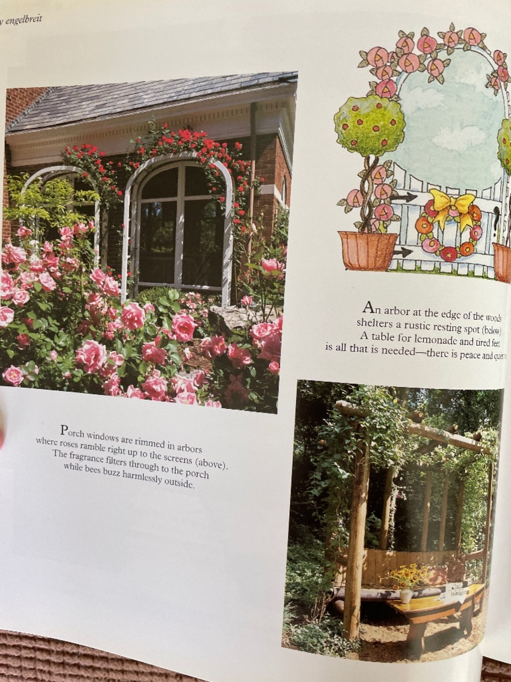 PRICE DROP! Mary Engelbreit's Outdoor Companion - 1996 Vintage Book - Picture 4 of 7